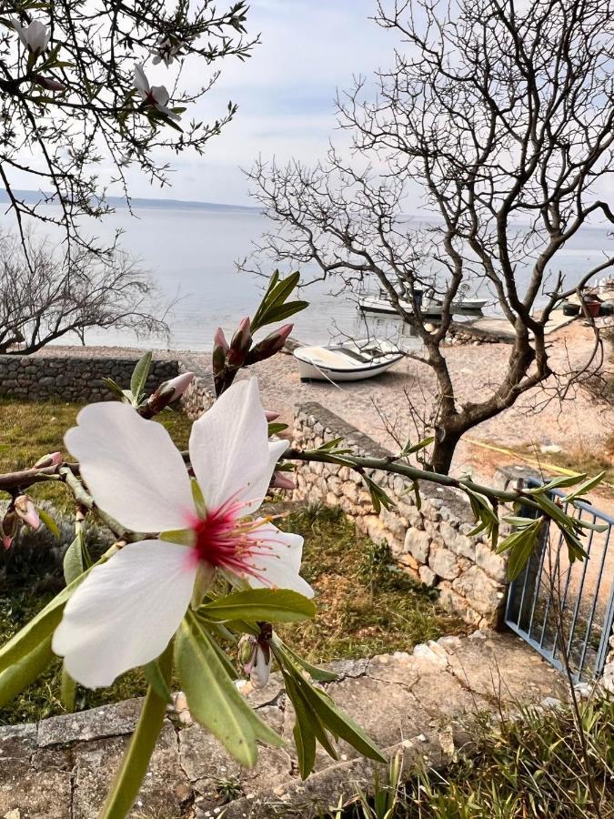 Apartmani Tin Starigrad Paklenica Zewnętrze zdjęcie